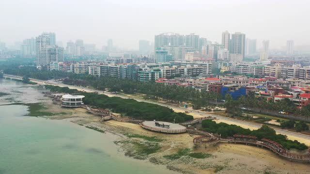 湛江网的历史沿革与发展轨迹，早期情况探究